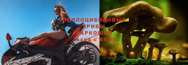 кокс Дмитров