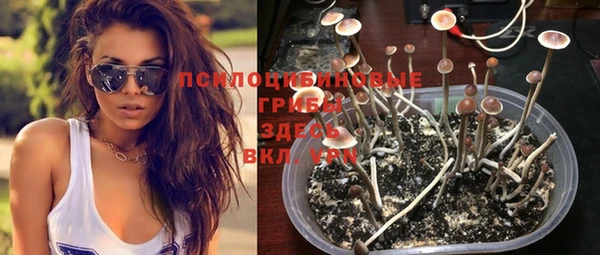 кокс Дмитров