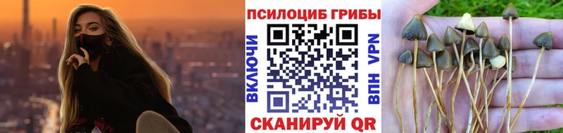 Галлюциногенные грибы мухоморы  Купить закладки  Ишим 